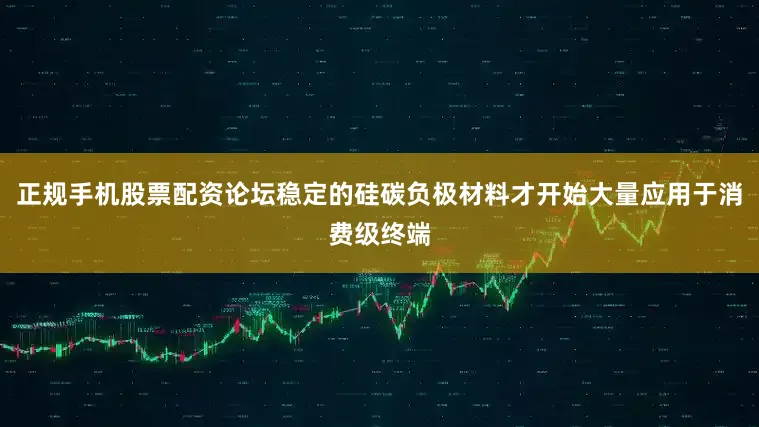 正规手机股票配资论坛稳定的硅碳负极材料才开始大量应用于消费级终端