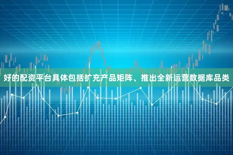 好的配资平台具体包括扩充产品矩阵、推出全新运营数据库品类